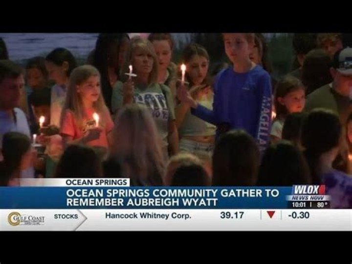 A Deep Dive Into Aubreigh Wyatt Charges: What You Need To Know