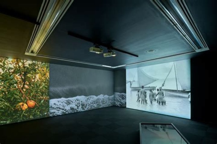 Alyson Sandro: The Rising Star Of Contemporary Art