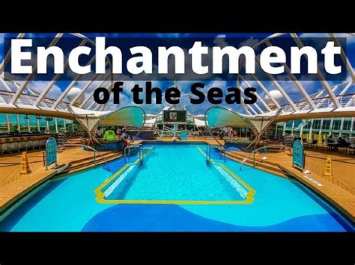 Embracing The Enchantment Of The Fantail In House