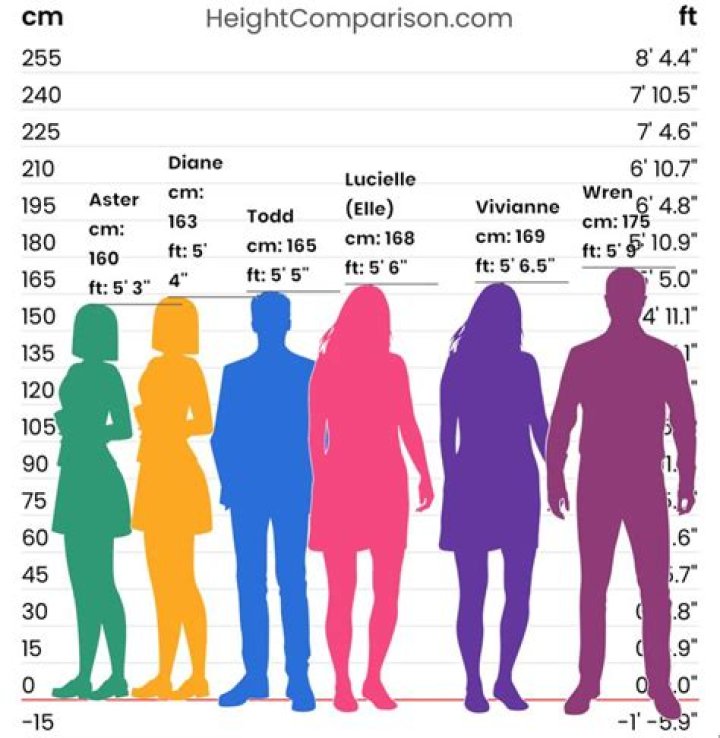 Understanding Alba Height: The Impact Of Height In Hollywood